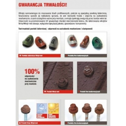 Wkręty Farmerskie do drewna 4.8x35 - op. 250 szt.