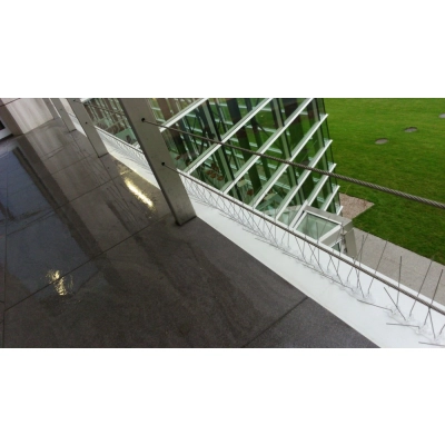 Kolce na ptaki Typ W - dł. 50 cm