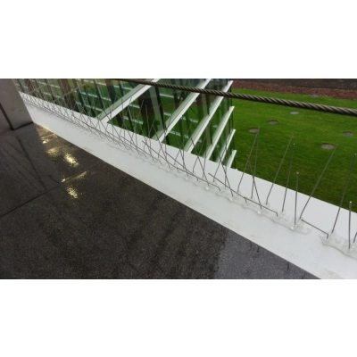 Kolce na ptaki Typ W - dł. 50 cm