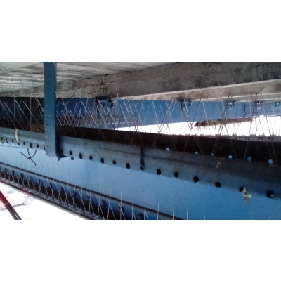 Kolce na ptaki Typ S - dł. 50 cm