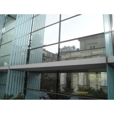 Kolce na ptaki Typ W - dł. 50 cm