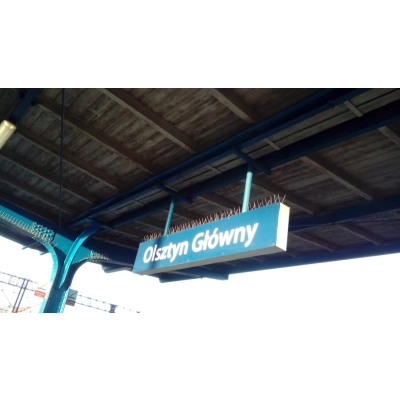 Kolce na ptaki Typ V - dł. 50 cm