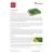 EUROVENT Membrana Dachowa SUPER GREEN 170 g/m2 - 75m2